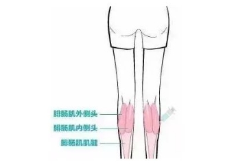 什么情况打不了瘦腿针