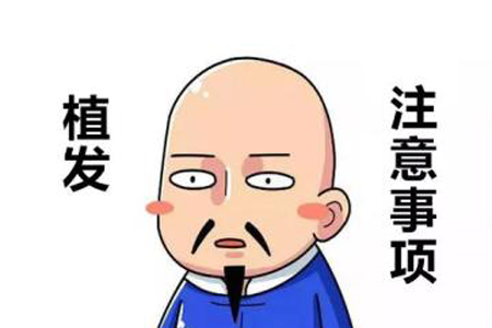 头发种植术后到底好不好
