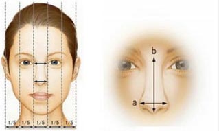 上海鼻小柱延长的好不好