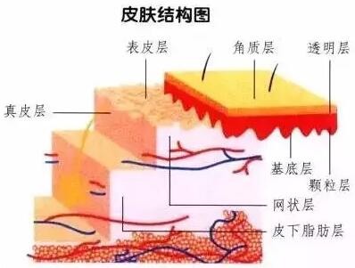 除斑祛斑的好方法