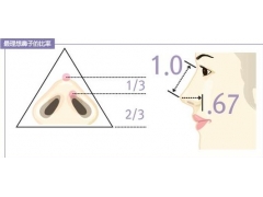 上海美莱鼻小柱怎么进行延长