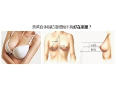 上海美莱医疗美容医院自体脂肪隆胸怎么样