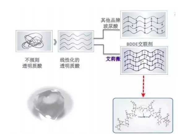 恭喜上海美莱微整形成立艾莉薇缪斯俱乐部会员基地