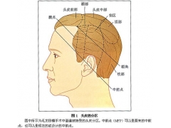 美莱医院做毛发种植是不