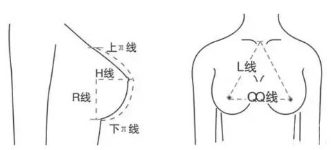 自体隆胸上海哪家医院好