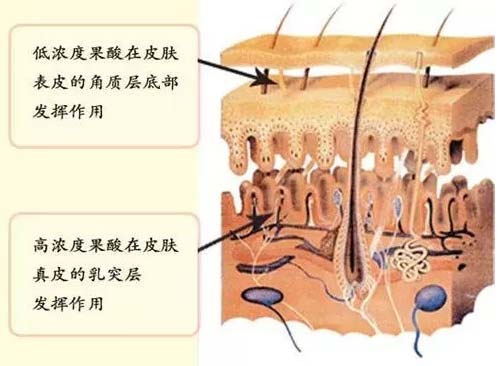 上海去哪做焕肤好