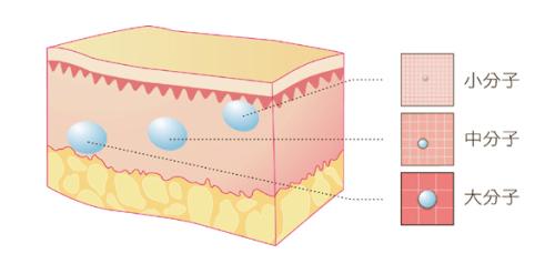 美莱揭秘大分子、小分子玻尿酸都有哪些差别