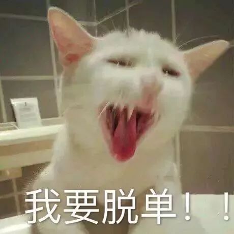 【七夕游乐园】8.17-8.20，来上海美莱重返少女心！