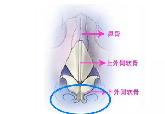 美莱医院科普|隆鼻没做好,是不是会影响呼吸?