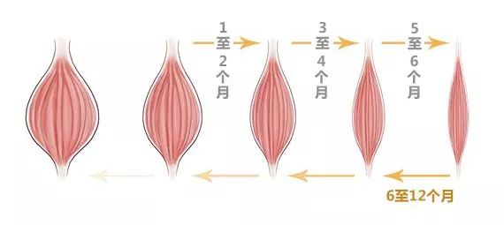 注射瘦脸的注意事项有哪些美莱