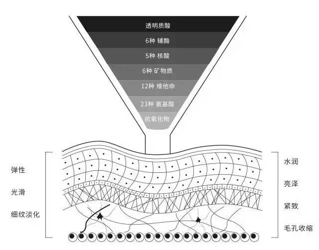 水光什么品牌比较好