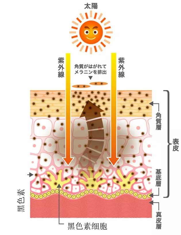 上海美莱提醒你：祛斑你都踩了哪些坑