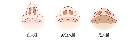鼻头缩小需要多少钱在上海做