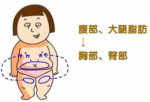 上海地区做自体脂肪隆胸需要多少钱