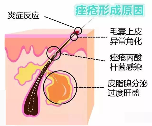 焕肤美莱怎么样