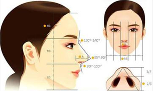 上海做自体软骨隆鼻整形手术需要多少钱