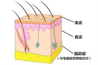 全身吸脂可以一次抽完吗,吸脂可以瘦脸吗