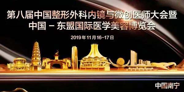 2019年第八届中国整形外科内镜与微创大会