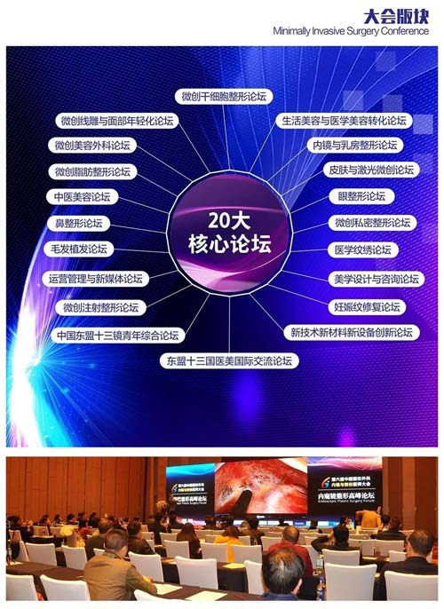 2019年第八届中国整形外科内镜与微创大会