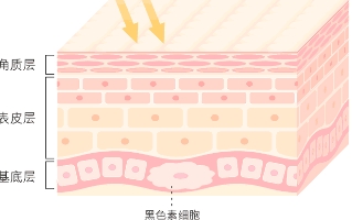 如何快速有效的祛色斑