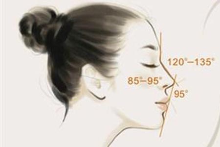 隆鼻整形的原理是什么