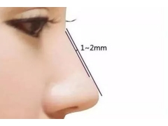 做假体隆鼻整形手术选择什么材料比较好