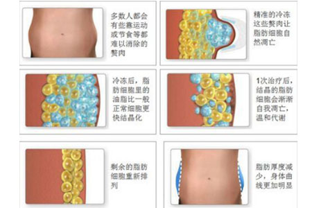 上海美莱新宣颜，学生新秀0元案例招募